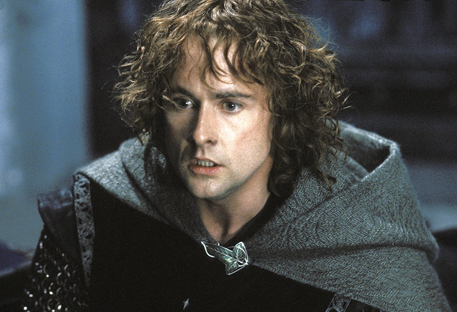 Peregrin 'Pippin' Took