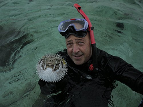 Andrew Zimmern