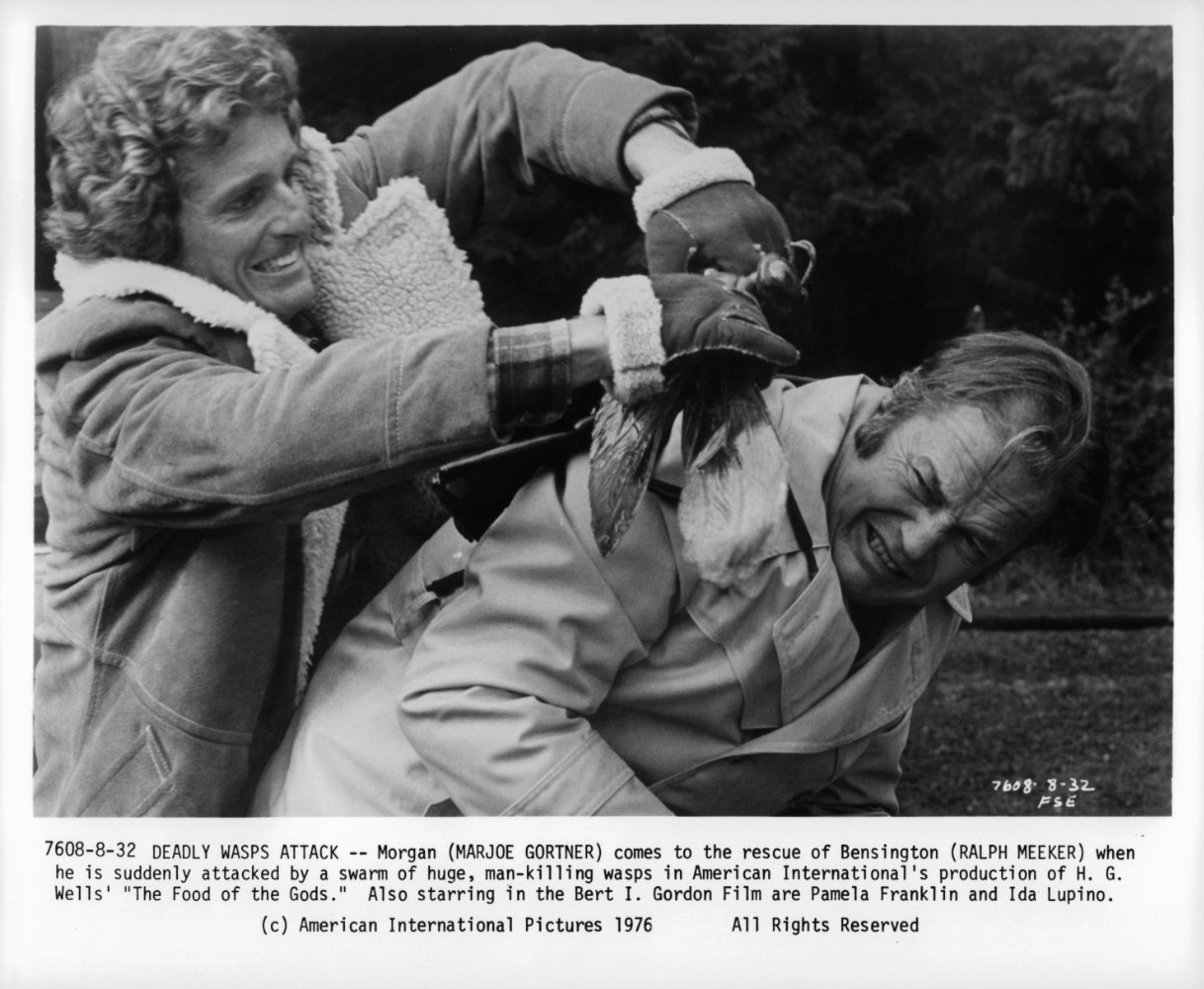 Marjoe Gortner