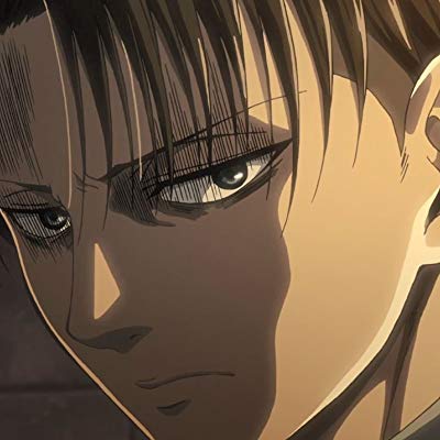 Levi