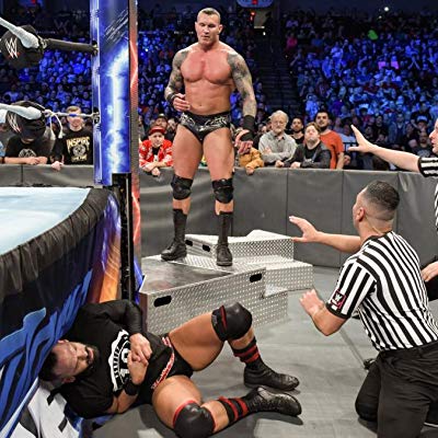 Randy Orton, Himself