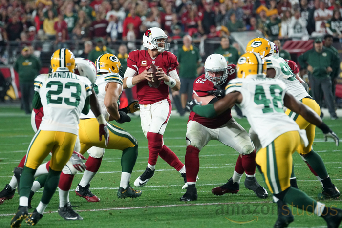 Carson Palmer