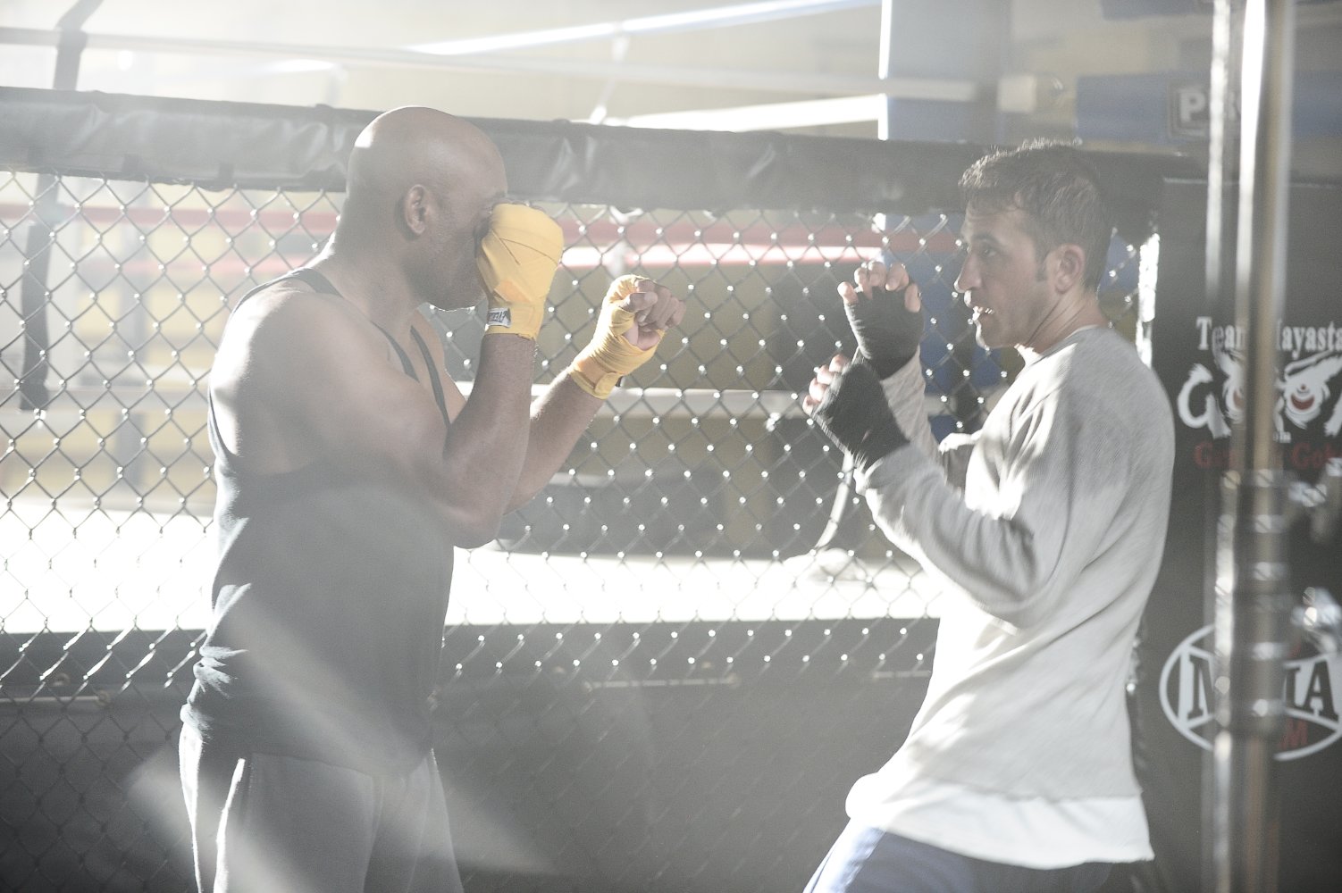 Anderson Silva