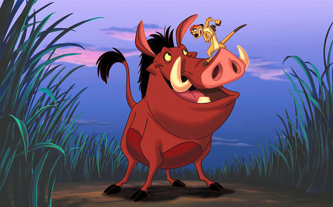 Timon
