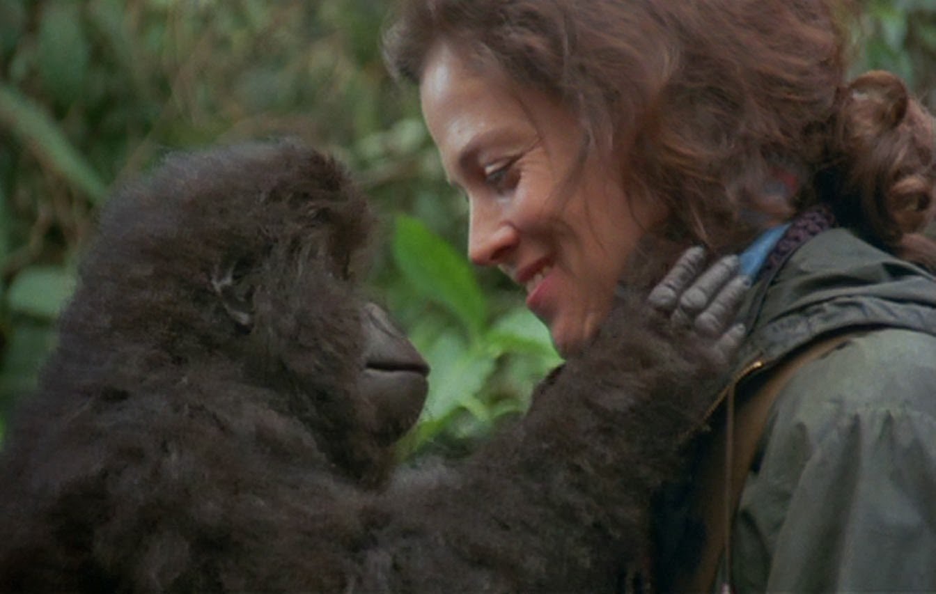 Dian Fossey