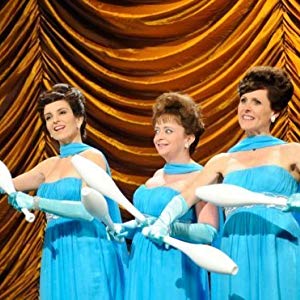 Various, Debbie Downer, Denise McDenna, Denise, Herself, Sheldon, Virginia Klarvin, Abe Scheinwald, Elizabeth Taylor, Tiara Zee...