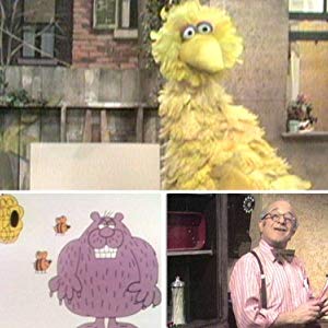 Mr. Hooper, Mr. Harold Hooper