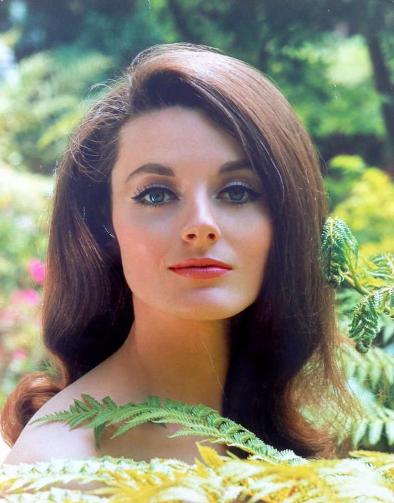 Celeste Yarnall