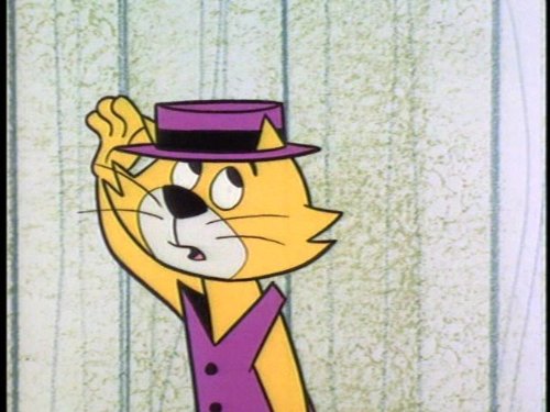 Top Cat
