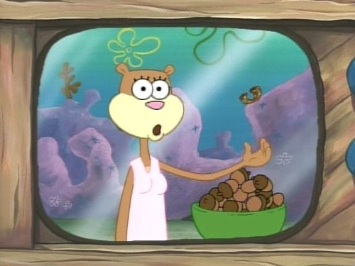 Sandy Cheeks