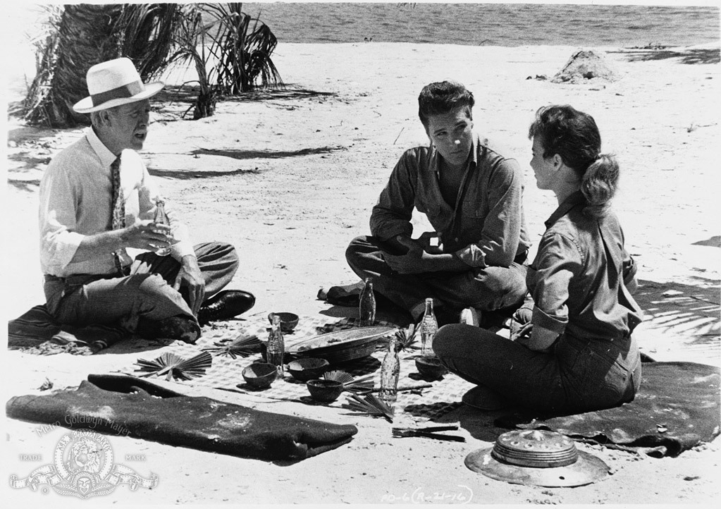 Anne Helm