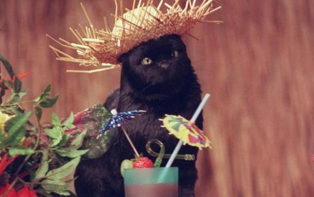 Salem Saberhagen