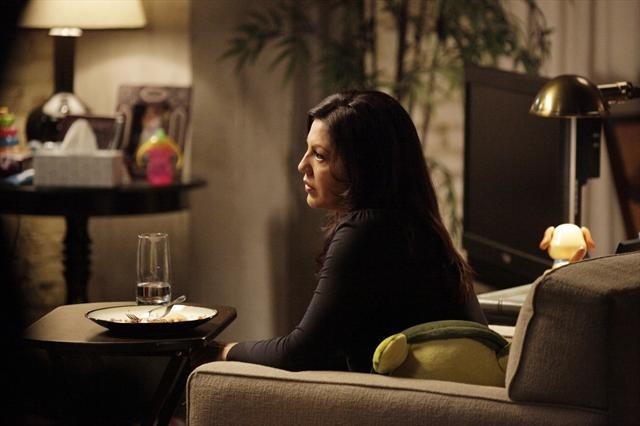 Dr. Callie Torres