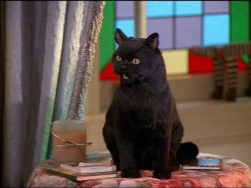 Salem Saberhagen