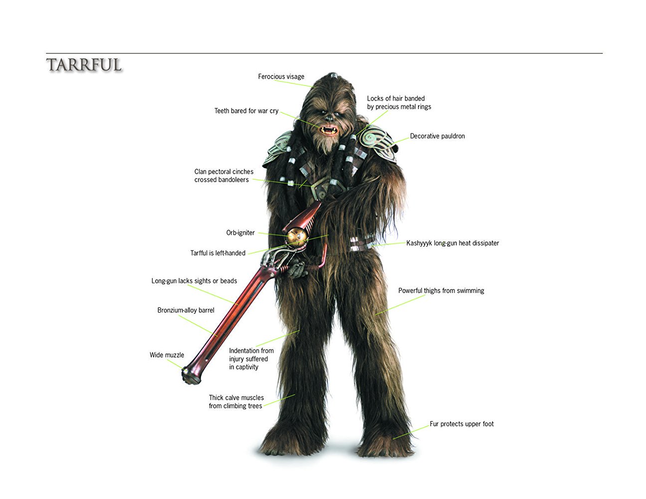 Wookiee