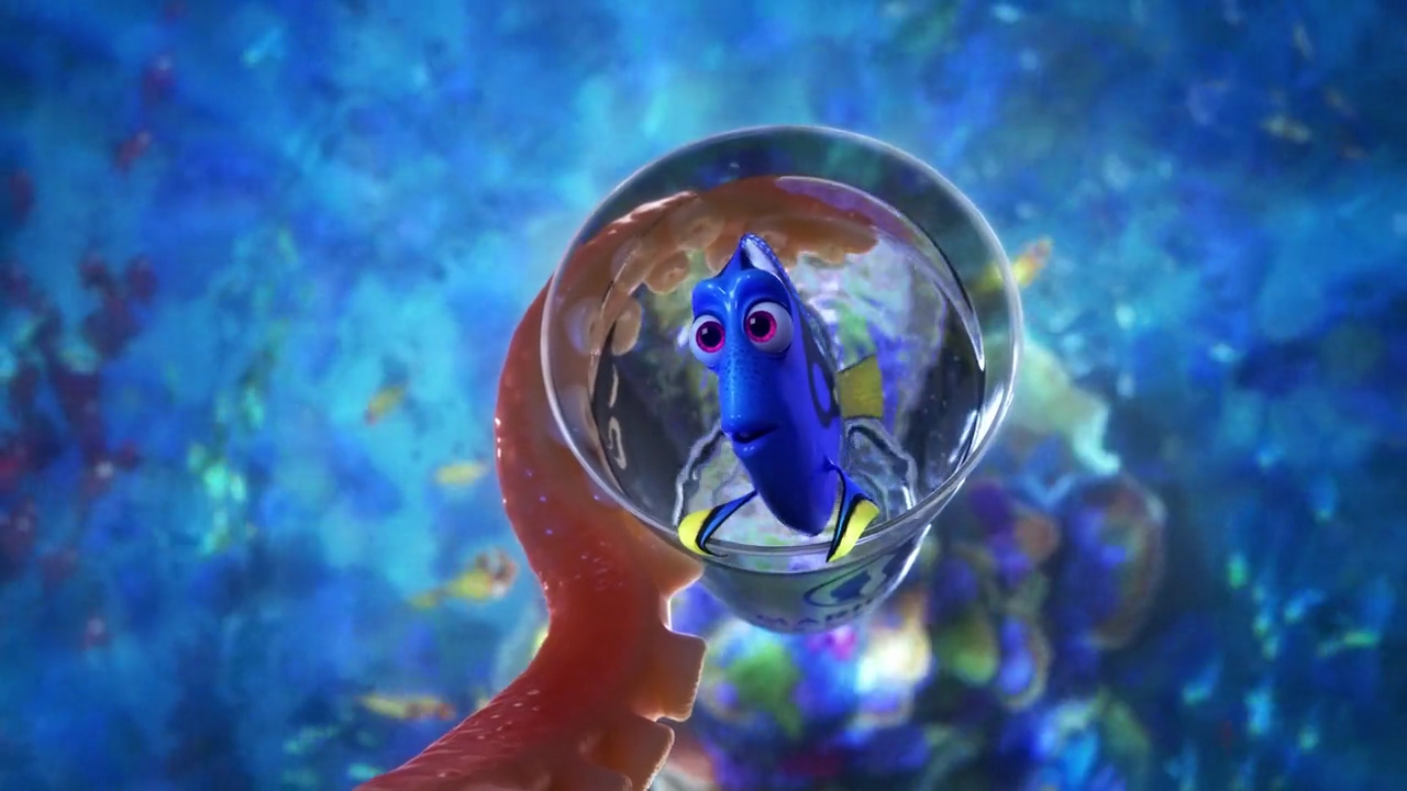 Dory