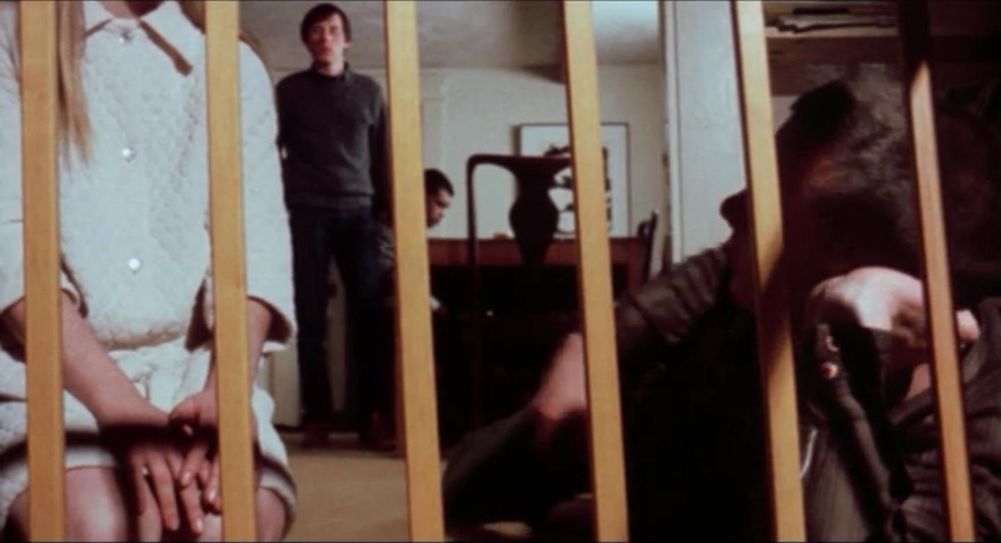 Steve Railsback