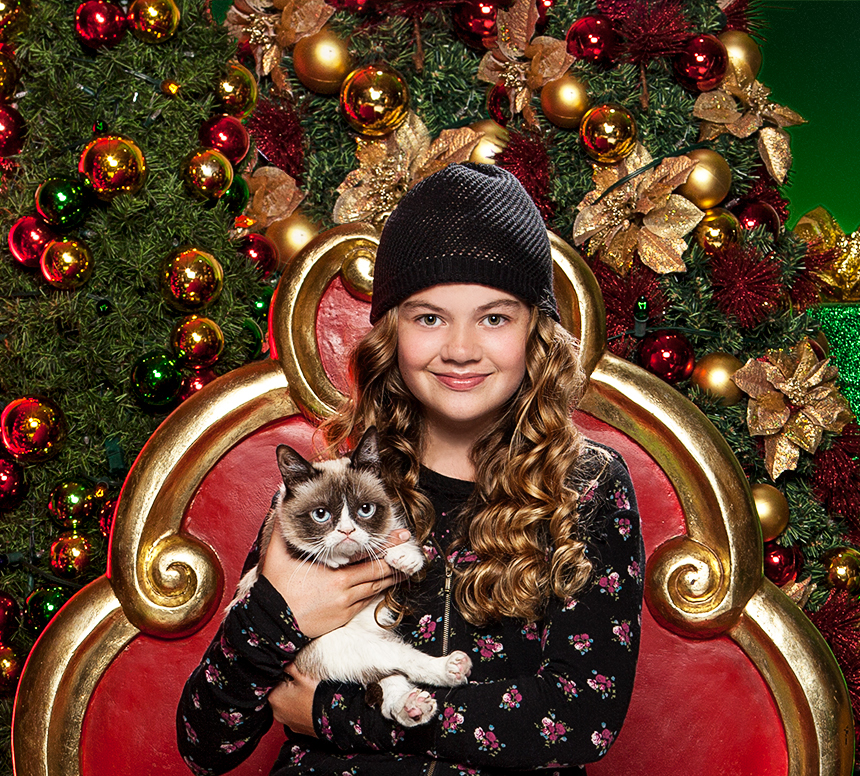 Grumpy Cat