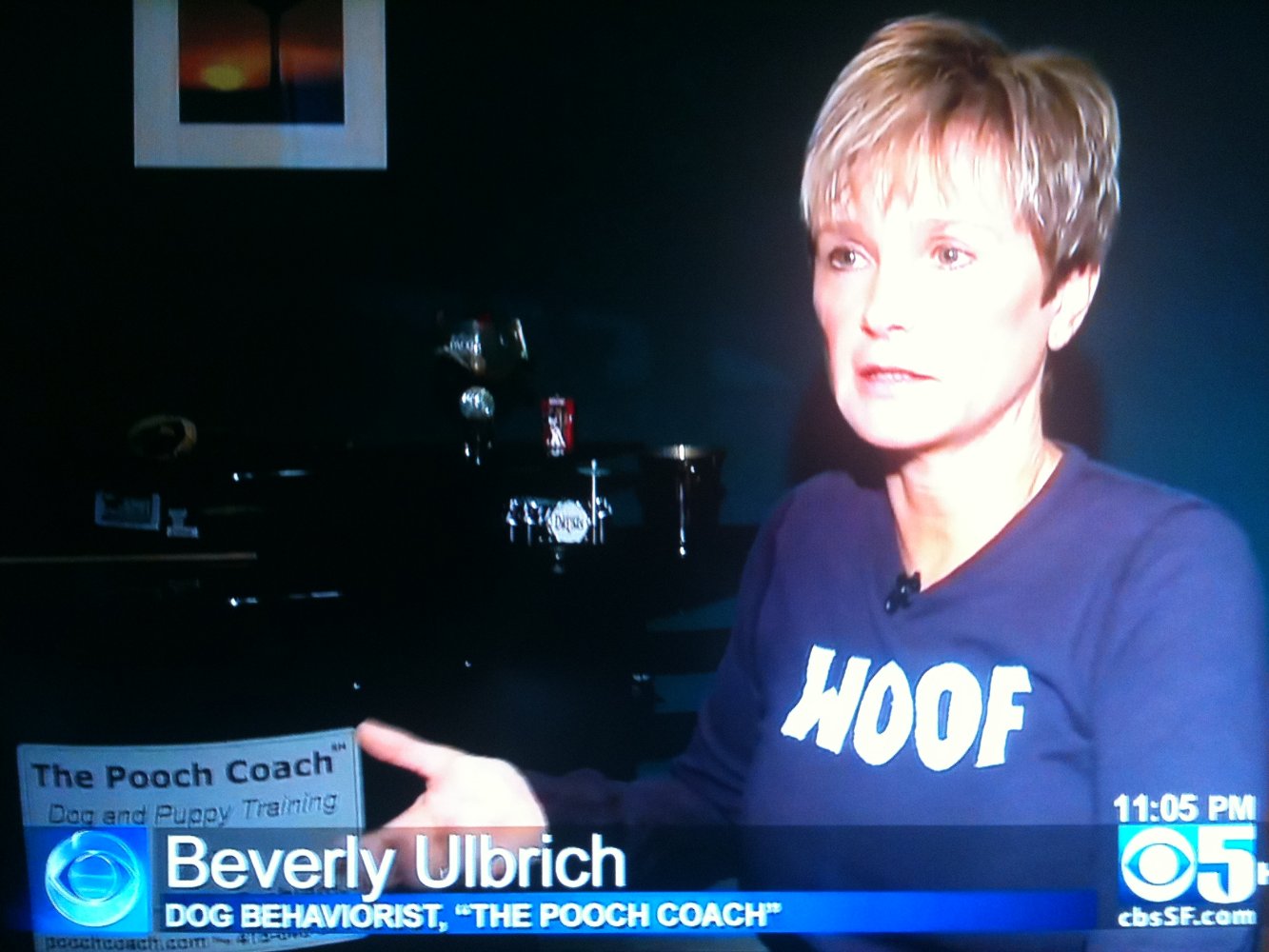 Beverly Ulbrich