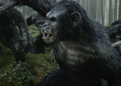 Koba