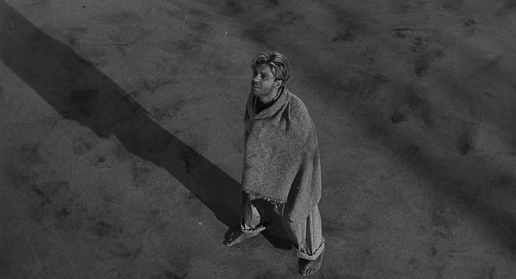 Scott Carey