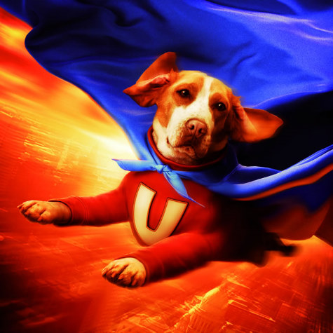 Underdog