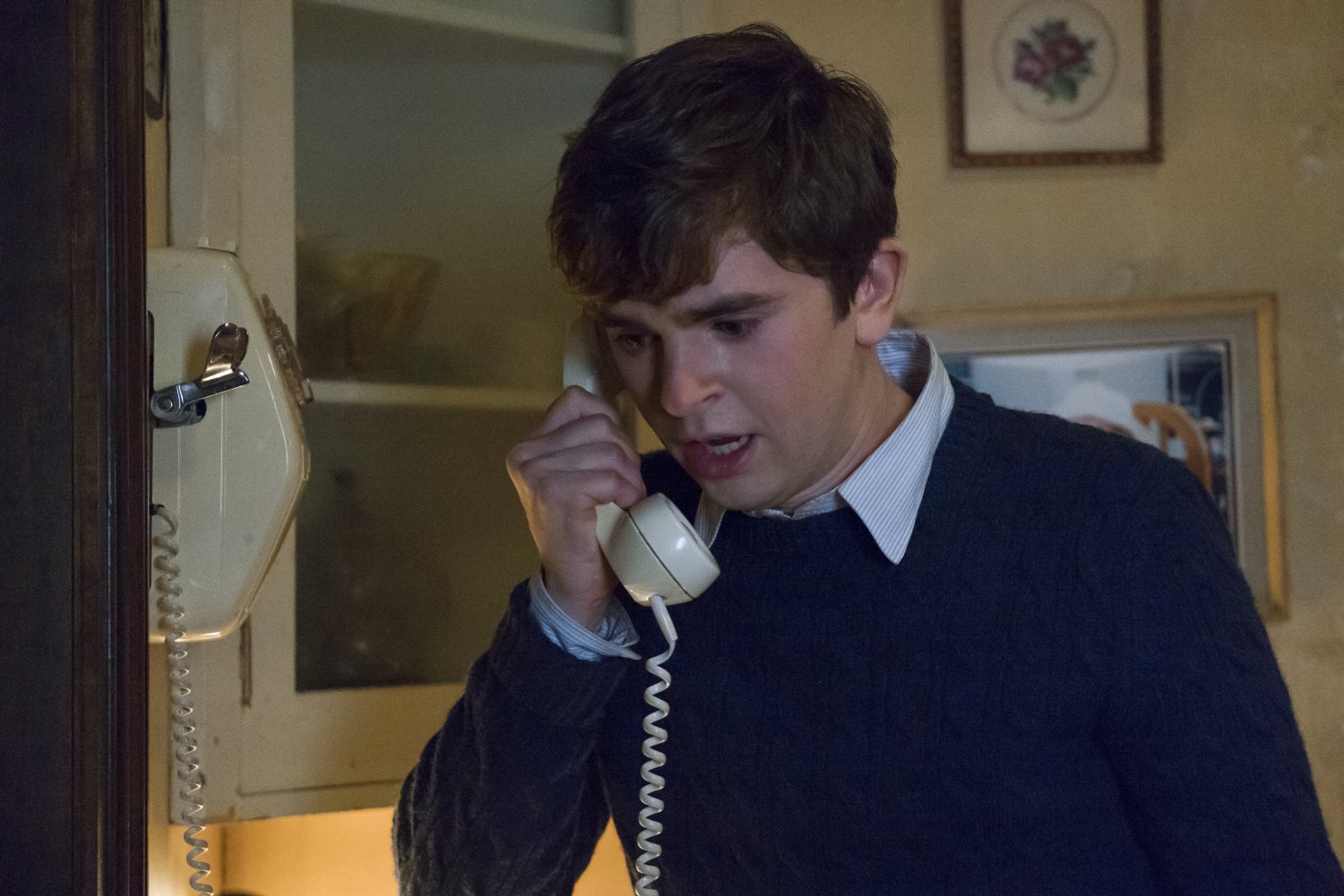 Freddie Highmore