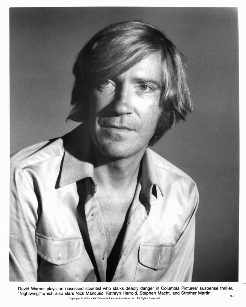 David Warner