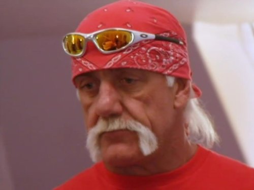 Hulk Hogan