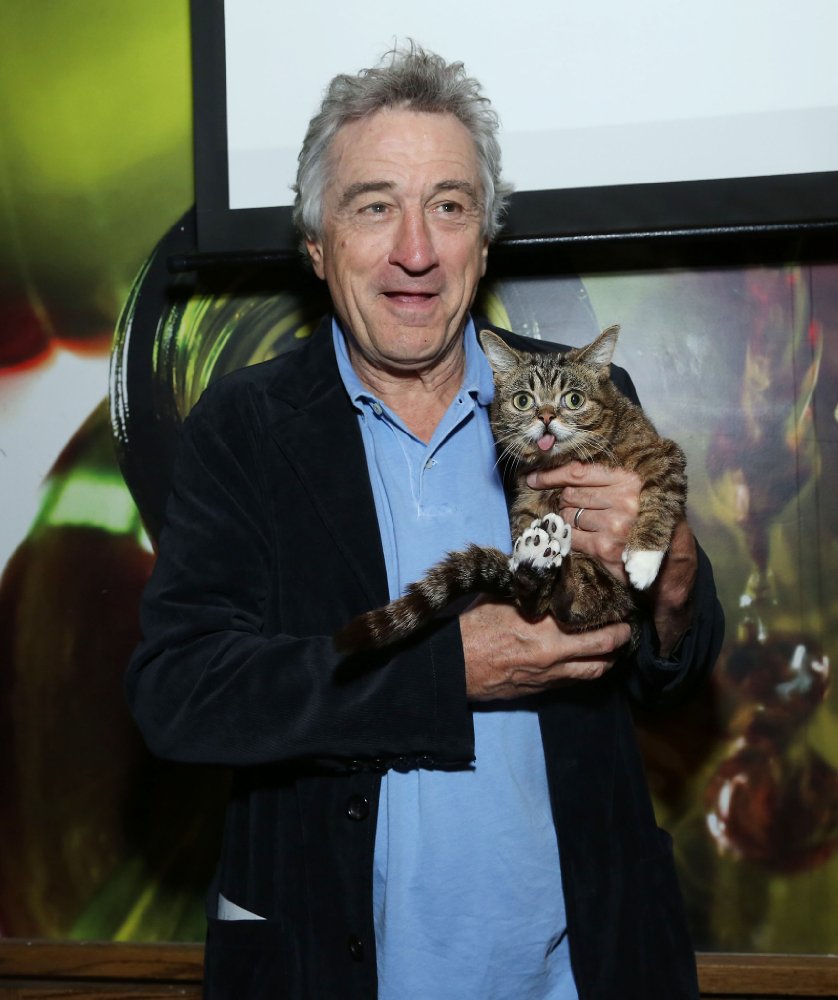 Lil Bub