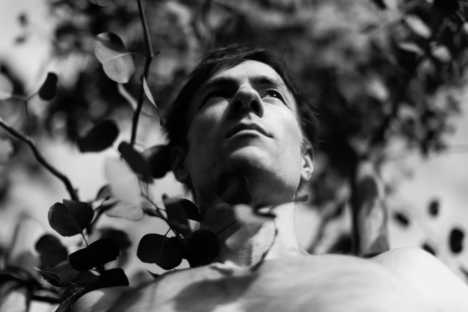 Robert McAtee
