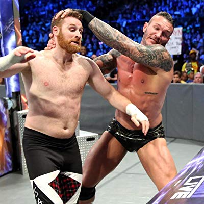 Sami Zayn