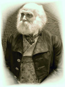 Joel Brody