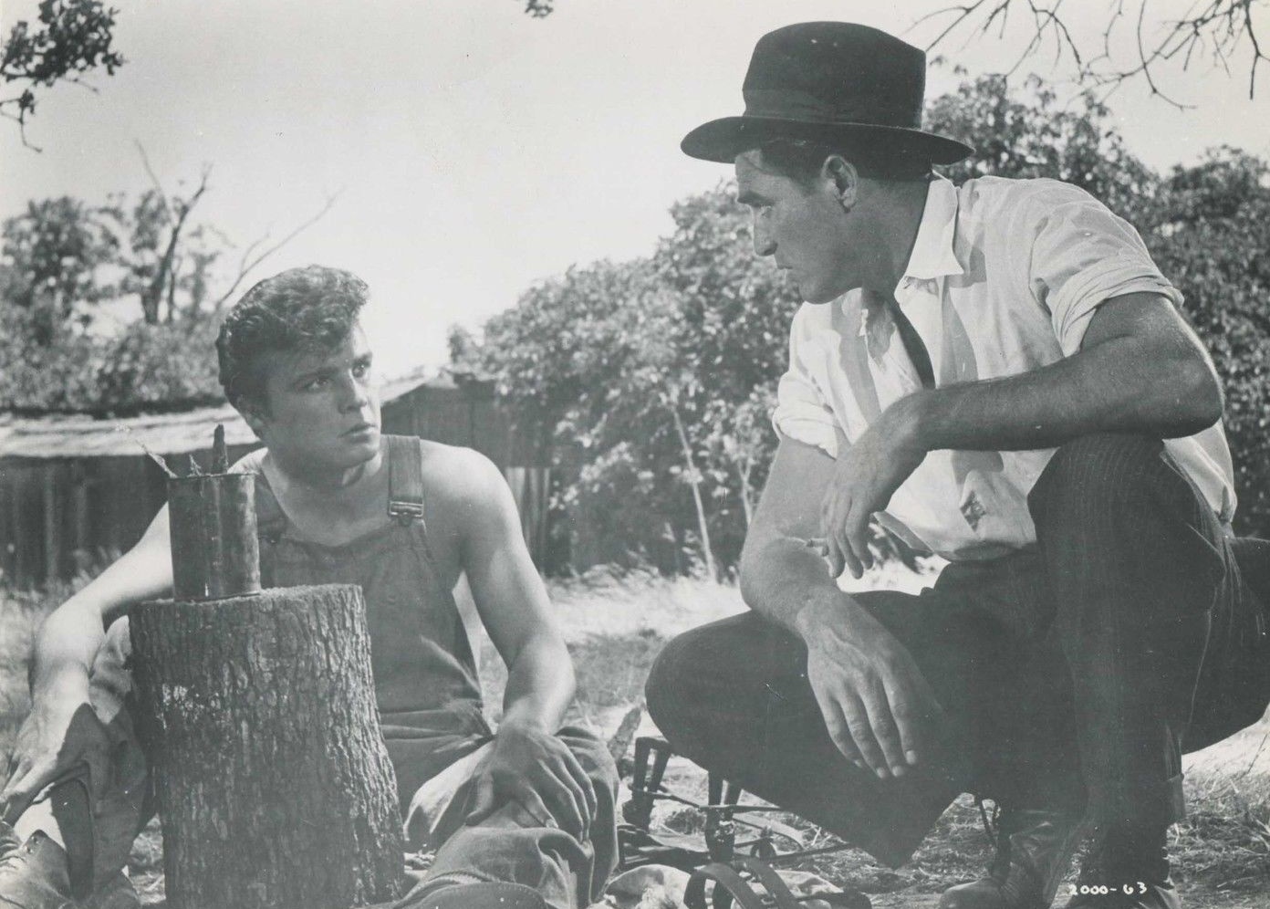 Steve Cochran
