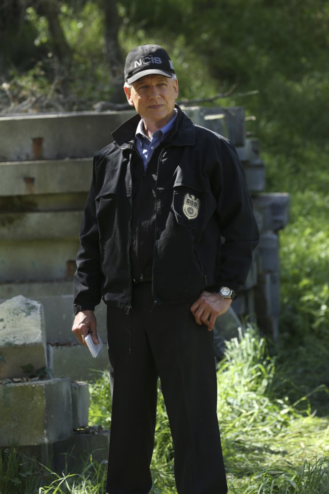 Mark Harmon