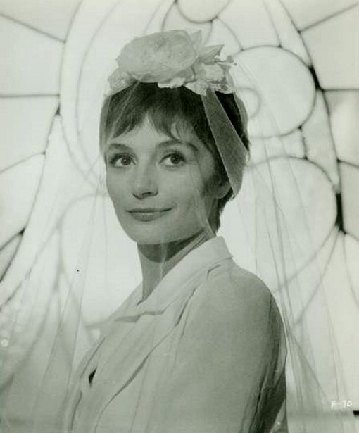 Luisa Anselmi