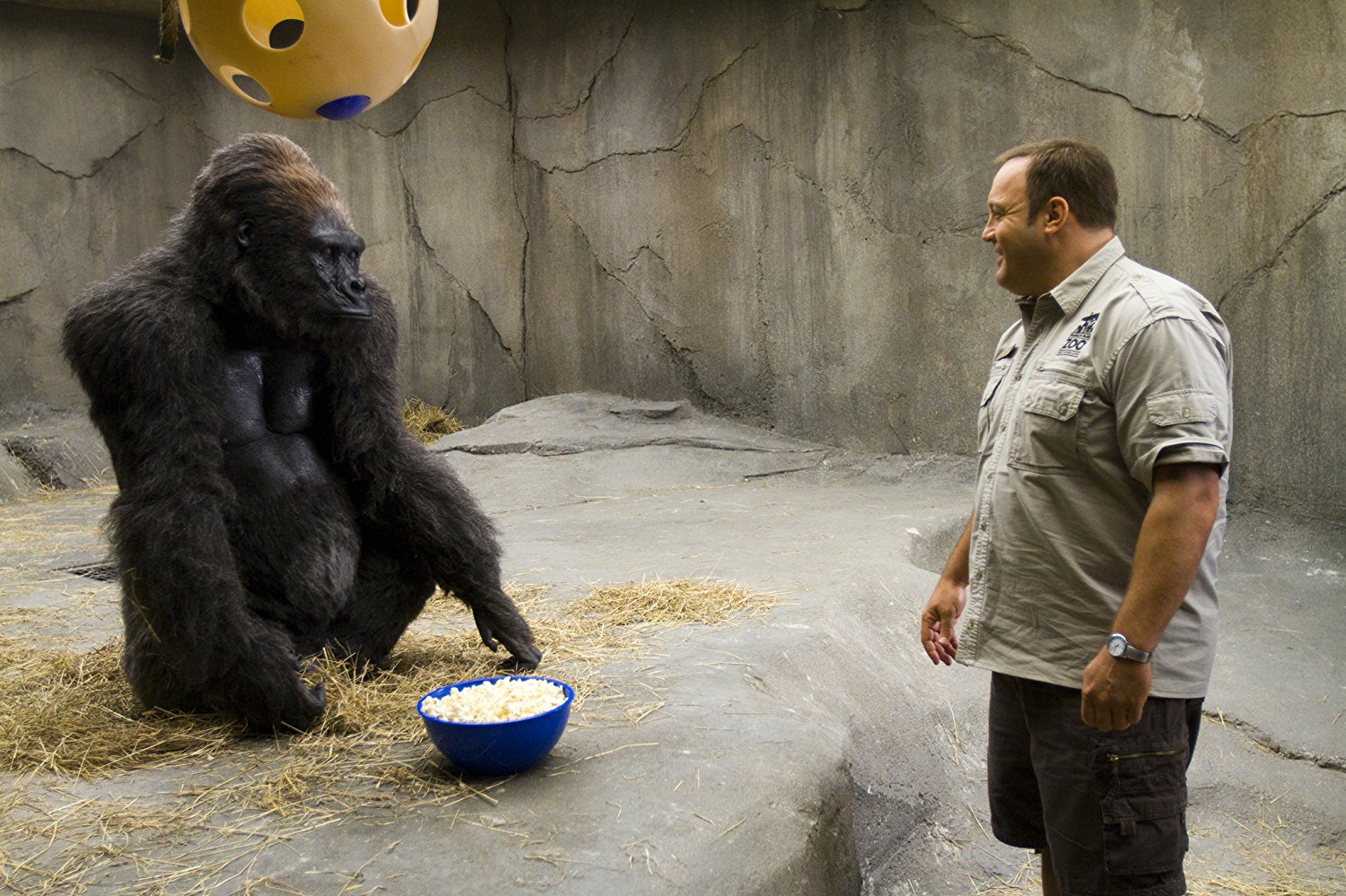 Animal movie. Кино мой парень из зоопарка. Мой парень из зоопарка (2011). Служитель зоопарка фильм. Кино 2022 мой парень из зоопарка.