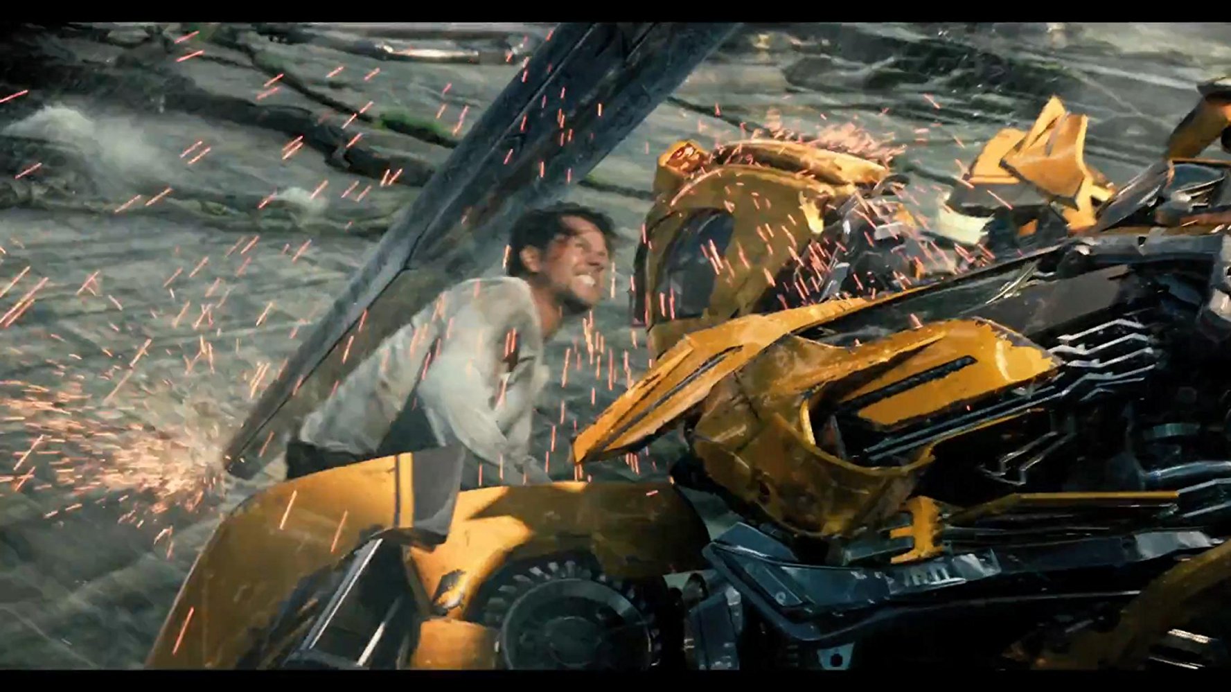 Bumblebee