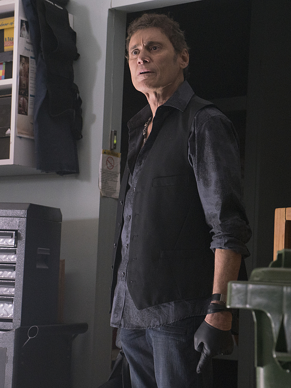 Steven Bauer