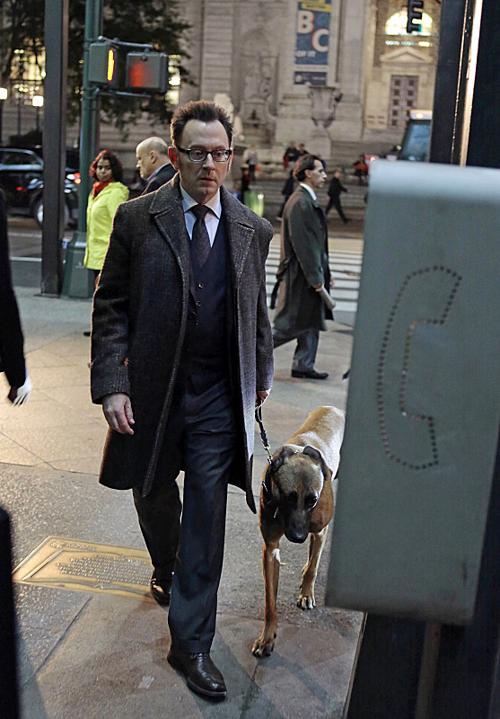 Harold Finch