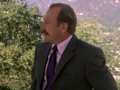 Captain Leland Stottlemeyer