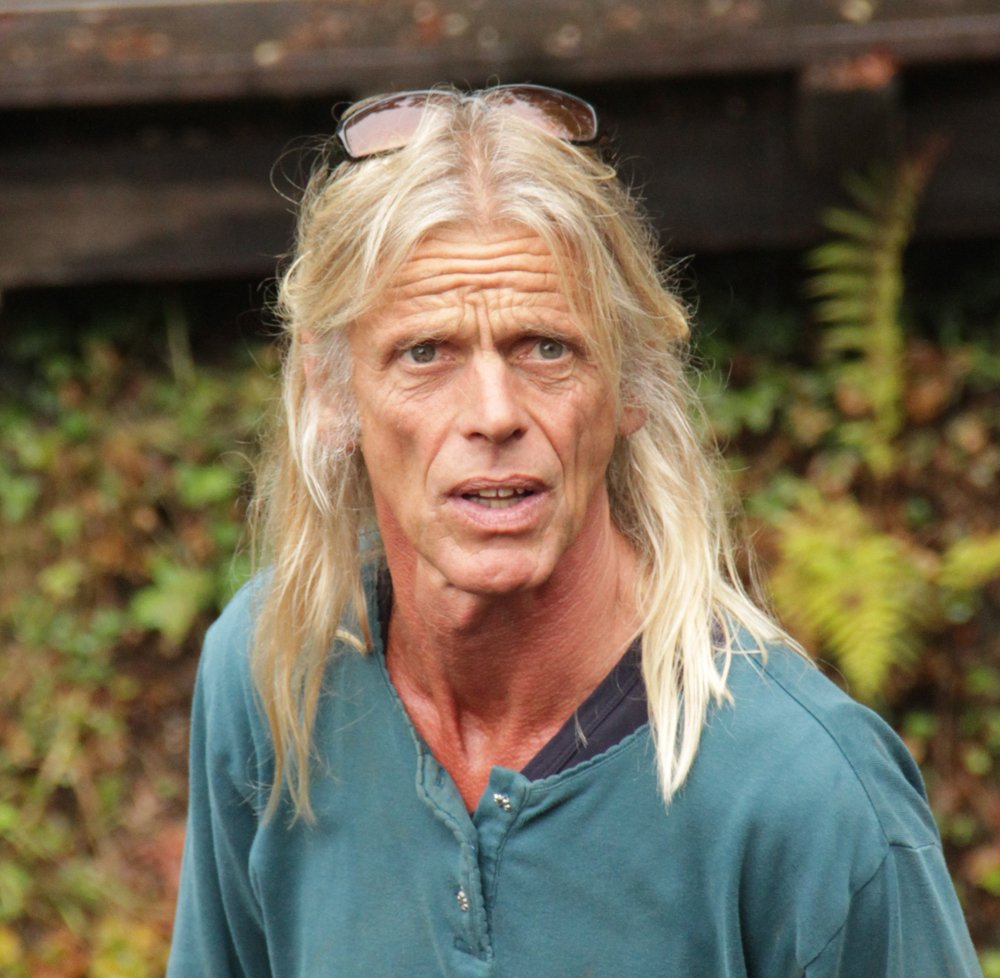 Hendrikus Schraven