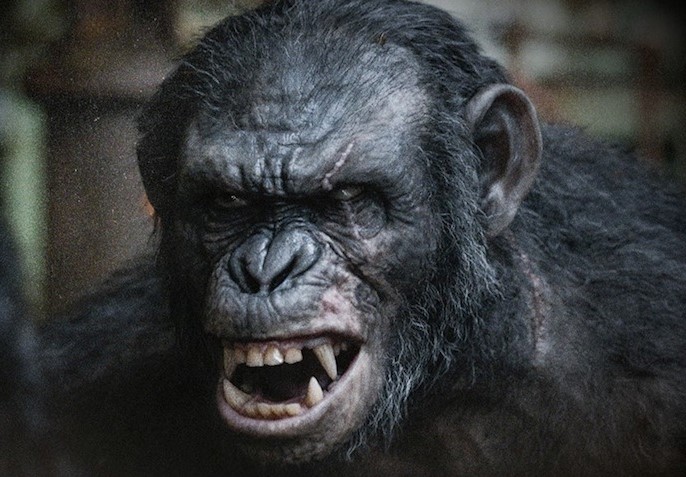 Koba