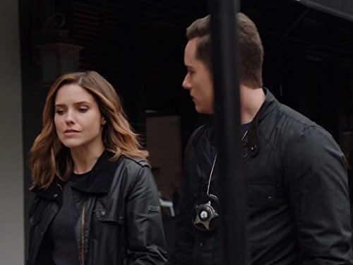 Jay Halstead