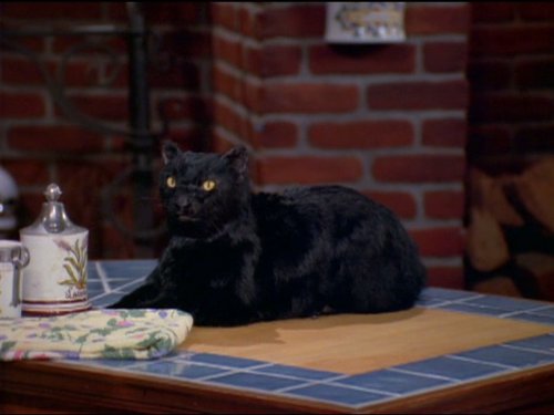 Salem Saberhagen