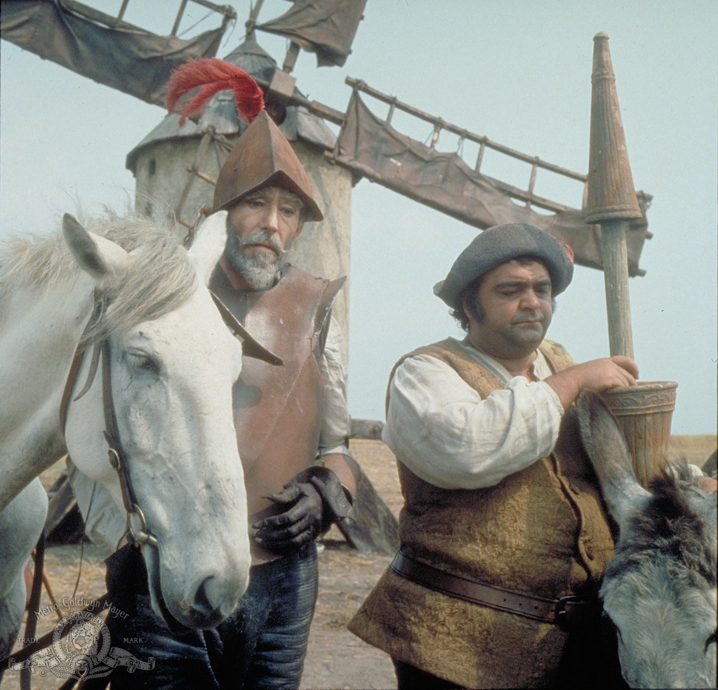 Don Quijote de la Mancha
