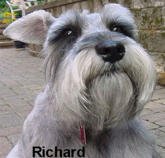 Richard C. Fishel