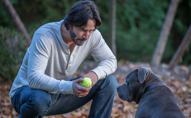 John Wick