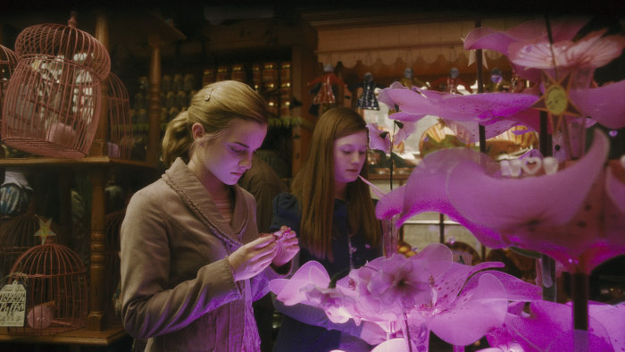 Ginny Weasley