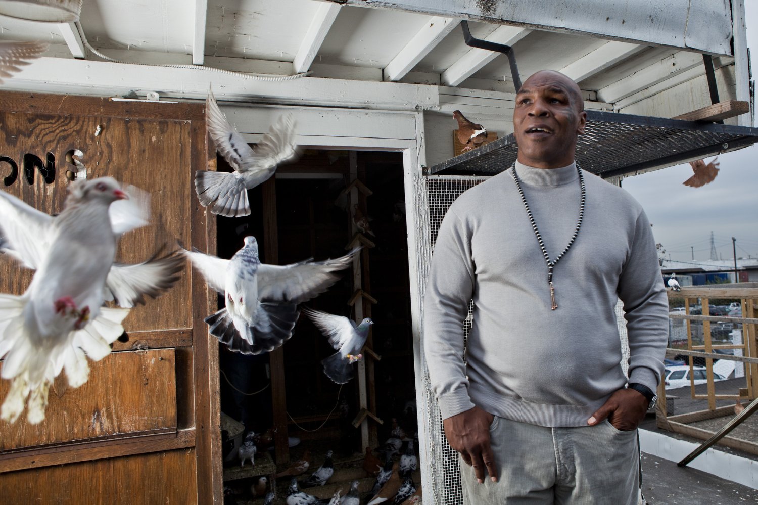Mike Tyson